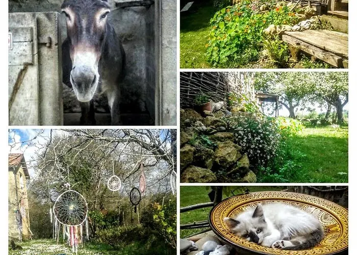 Privatunterkunft Cledes *