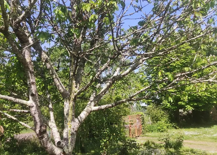 Rum i privatbostad 